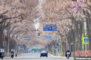 益阳共建“花园城市” 北京这场议政会“百花齐放”